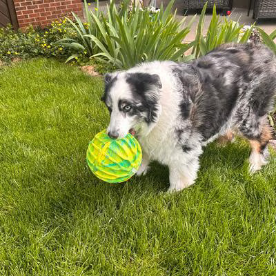 Kong Flexball Sport Ball