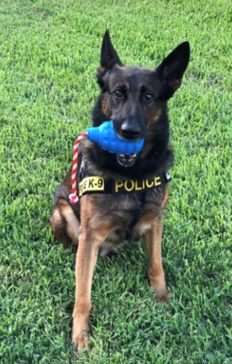 USA-K9 Grenade - Chew Toy - Reward Toy - Blue