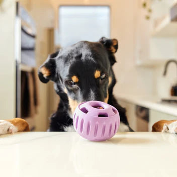 Pupsicle