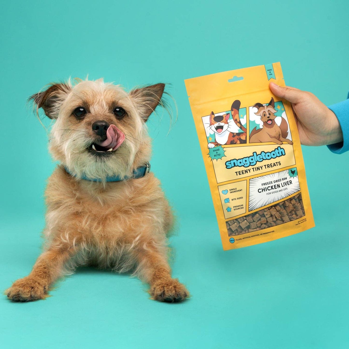 Teeny Tiny Treats - Chicken Liver