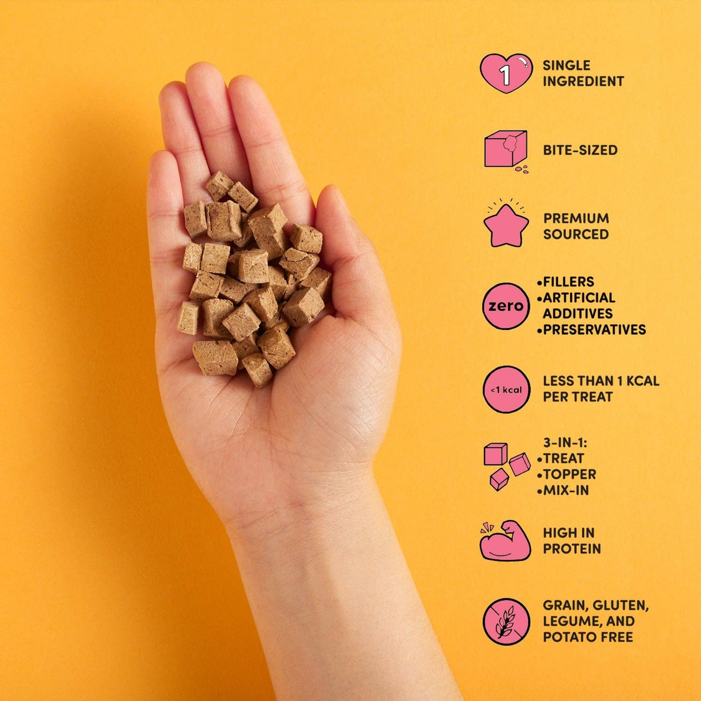 Teeny Tiny Treats - Beef Liver