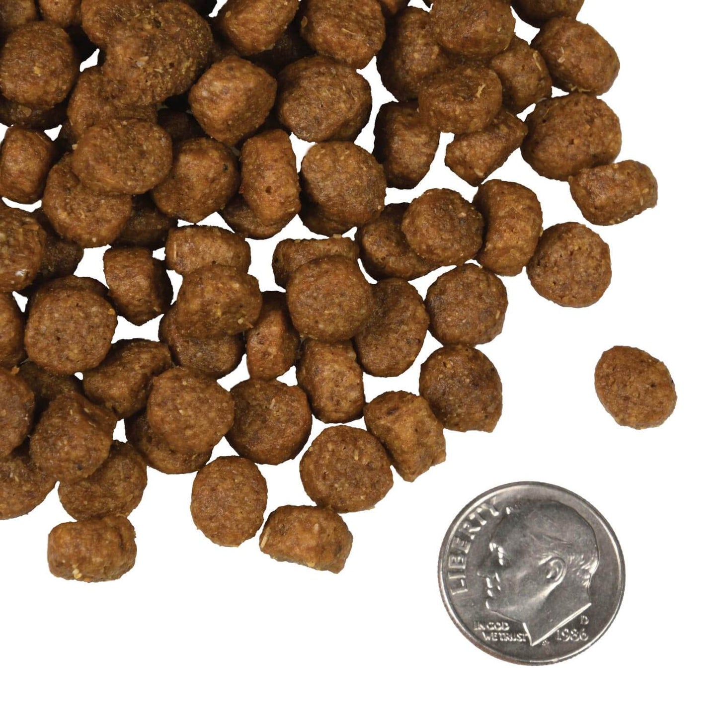 Fromm Four-Star Dry Dog Food - Salmon A La Veg 26lb