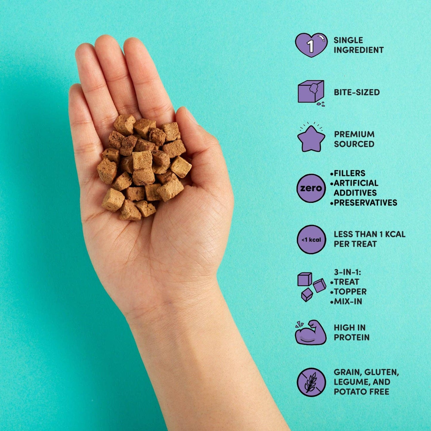 Teeny Tiny Treats - Chicken Liver