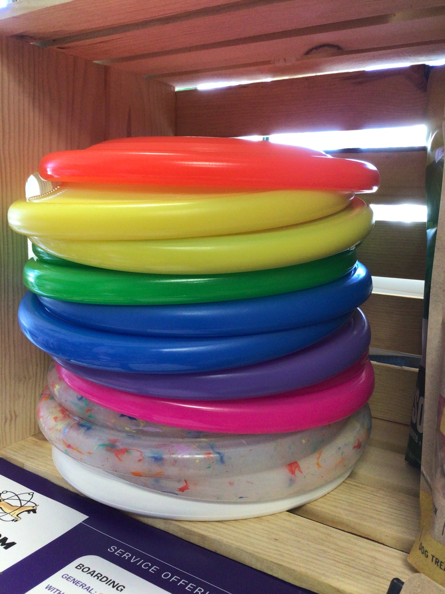 NEO Pet Disc