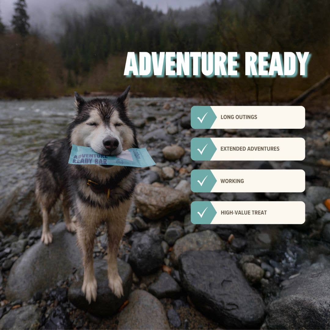 Seafood Treat & Snack Bar for Active Dogs - Energy & Recovery