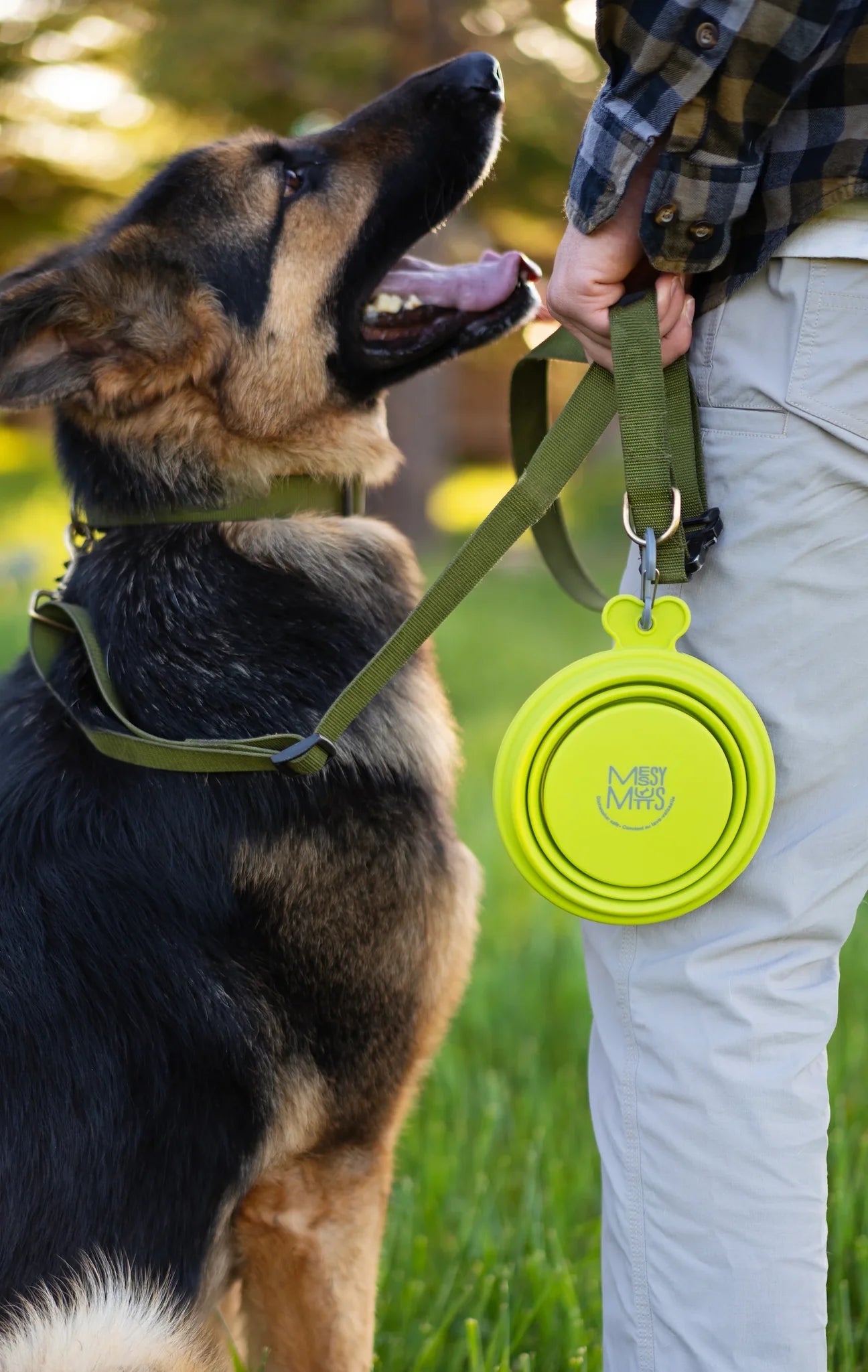 Messy Mutts Collapsible Dog Bowl