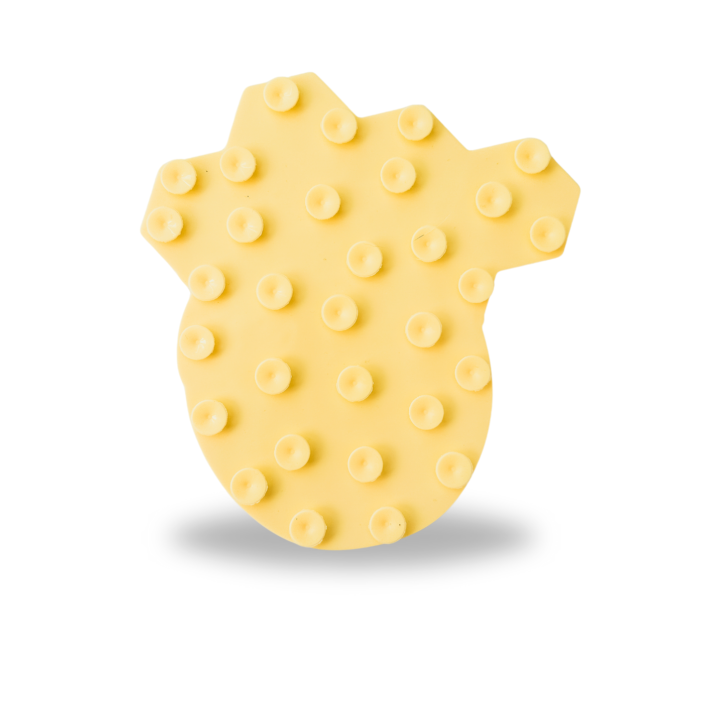 B&B Bee Lick Mat