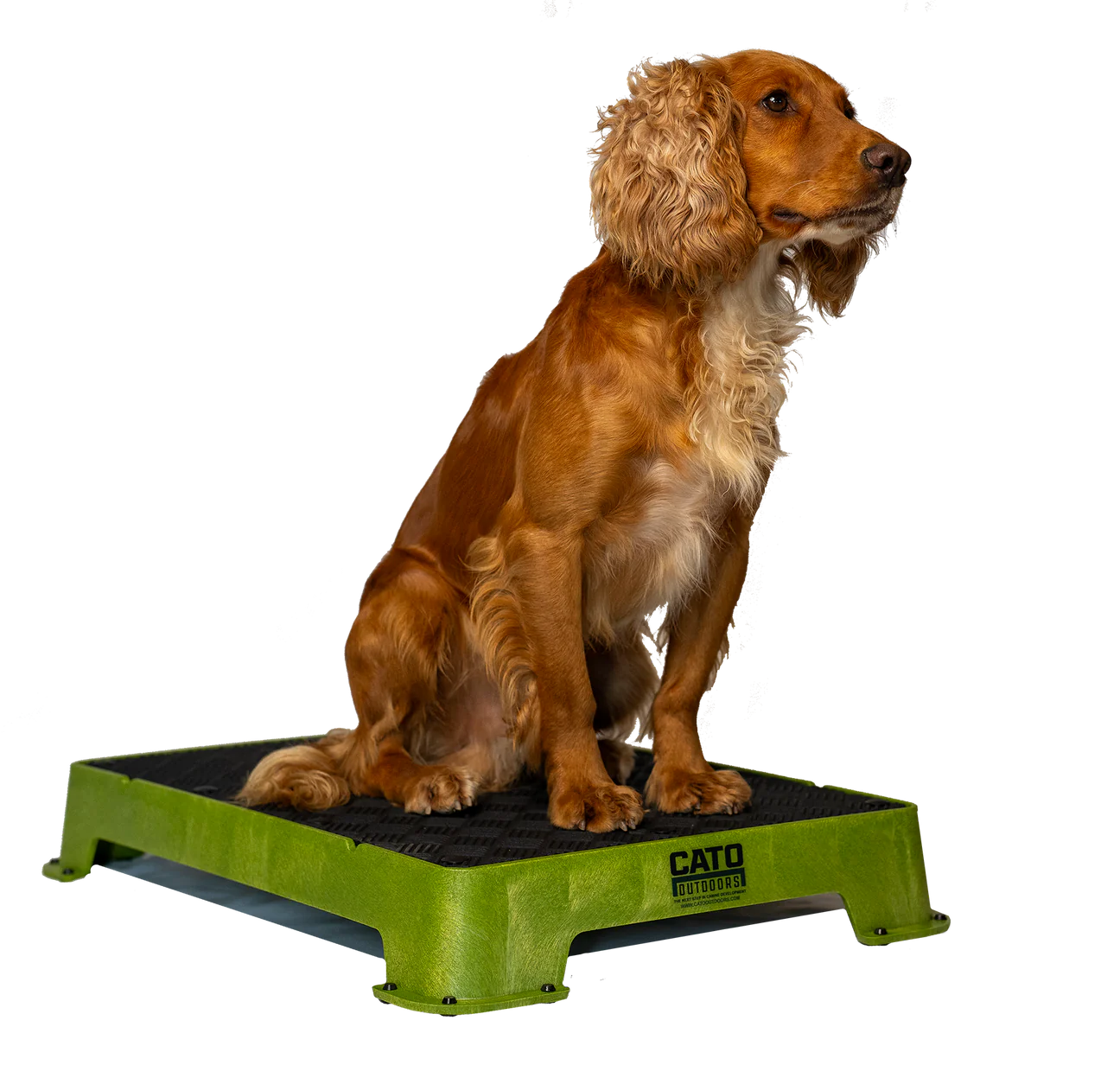 CATO Board Training Platform