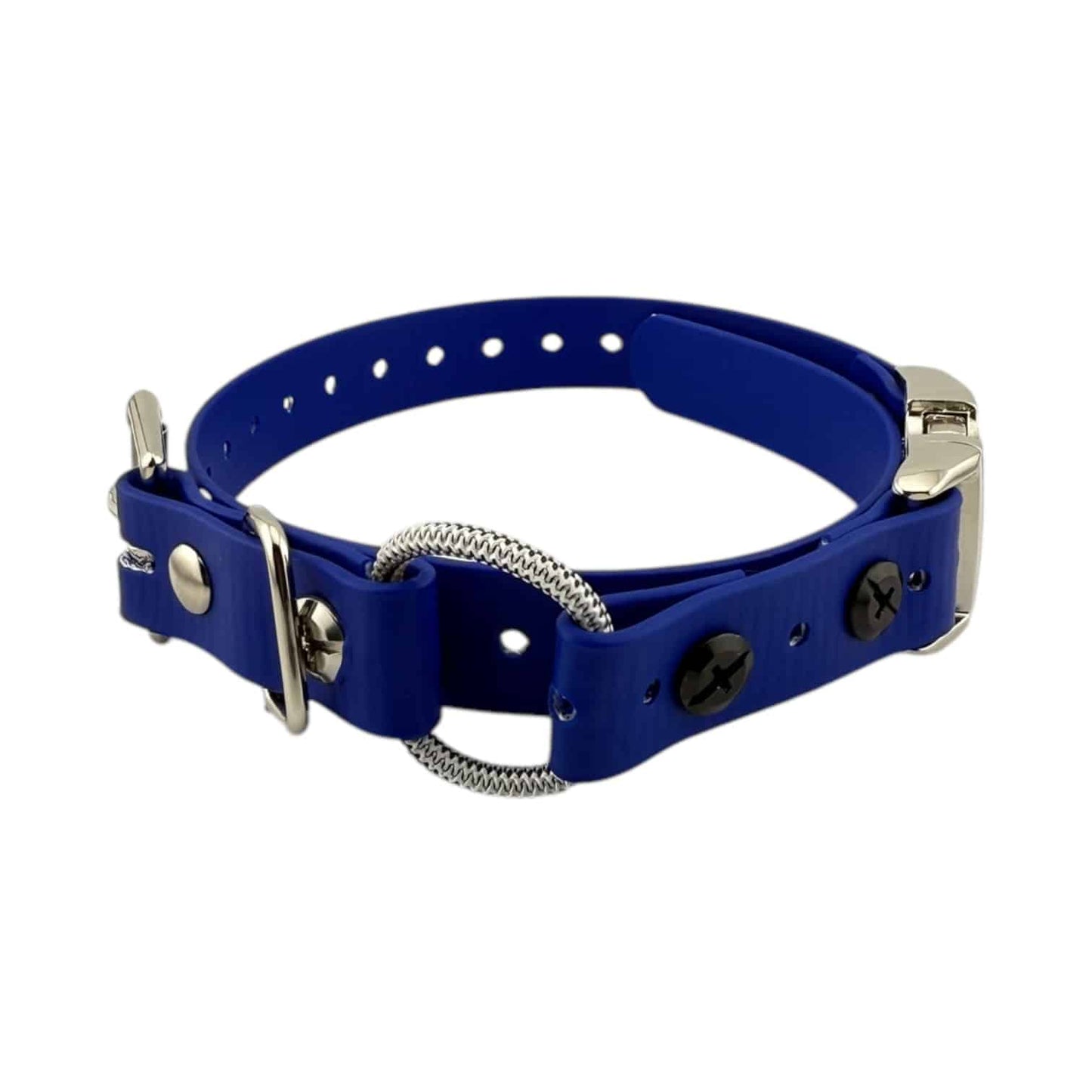 Micro Educator 3/4” Quick Snap Bungee Collar (Small Dog)