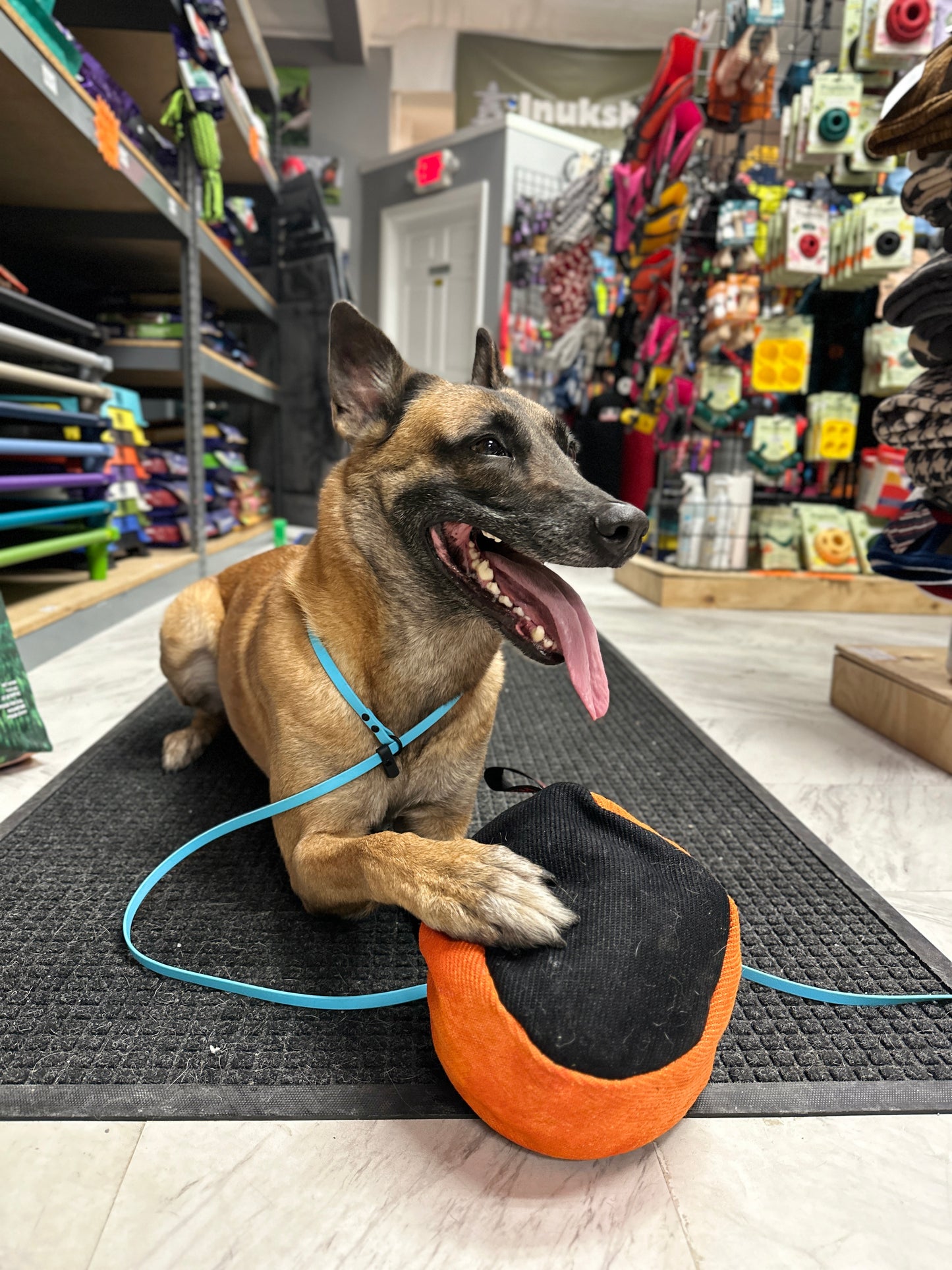 NEO Pet BioThane Slip Leash