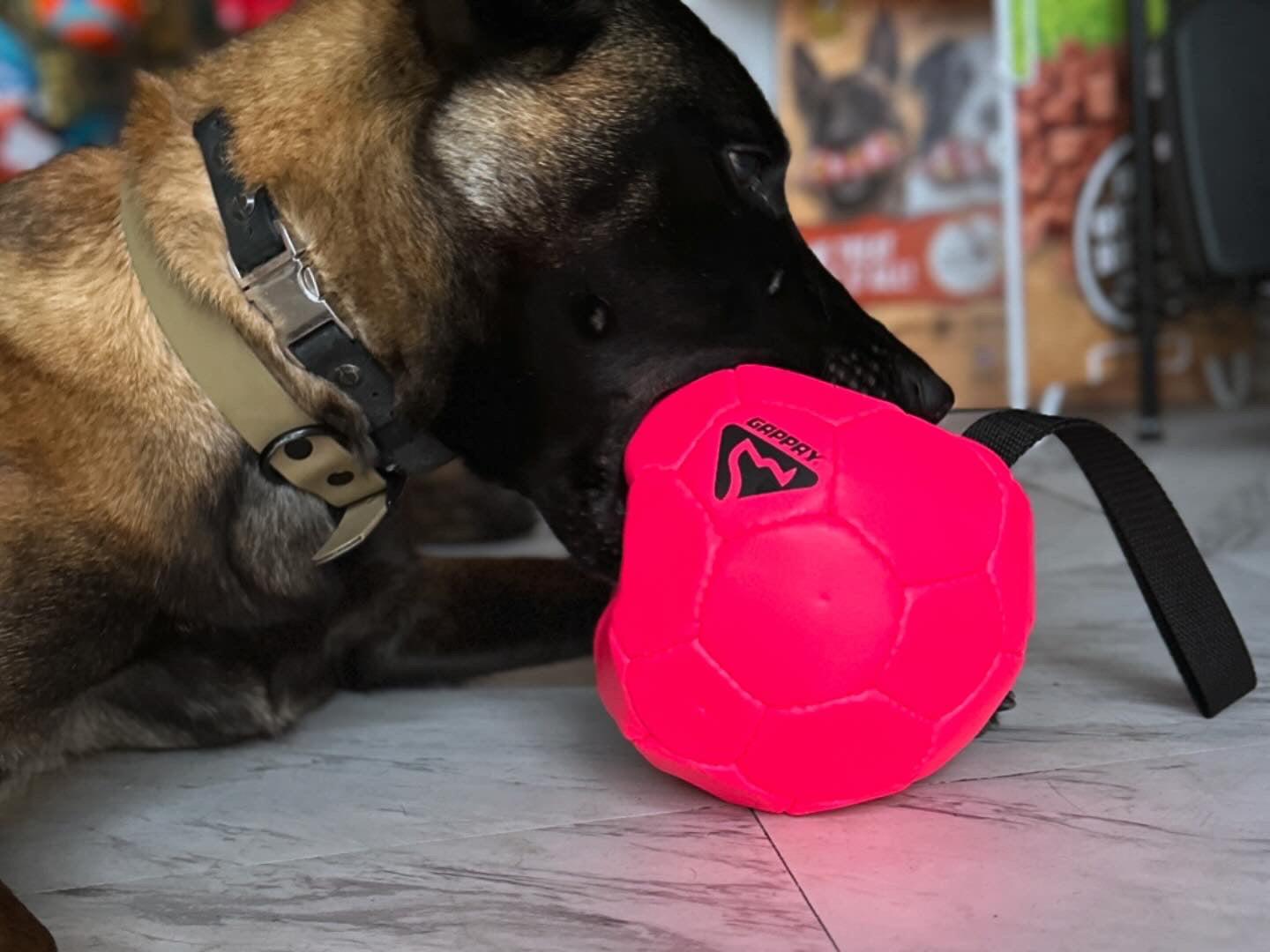 Gappay Soccer Balls