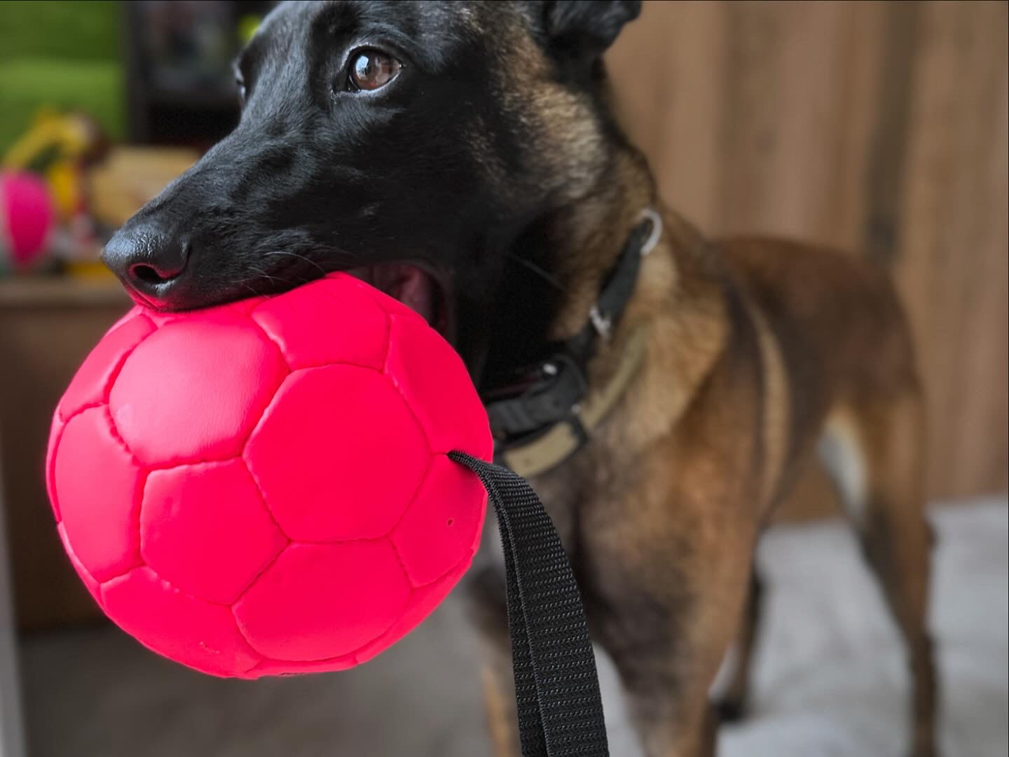 Gappay Soccer Balls