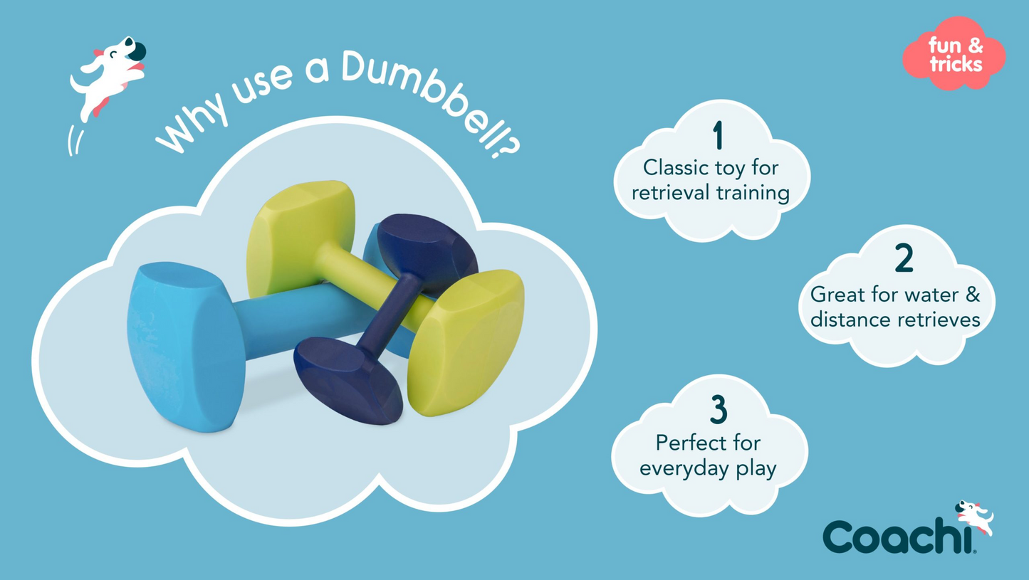 Coachi Training Dumbbells