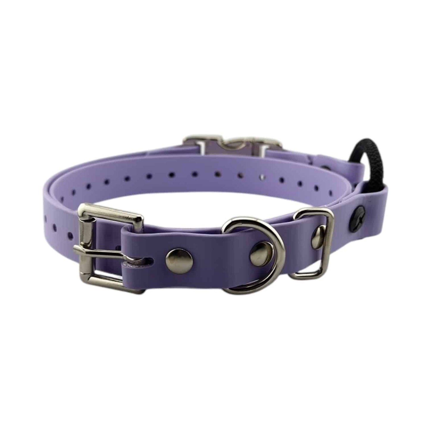 Mini Educator 3/4” Quick Snap Bungee Collar