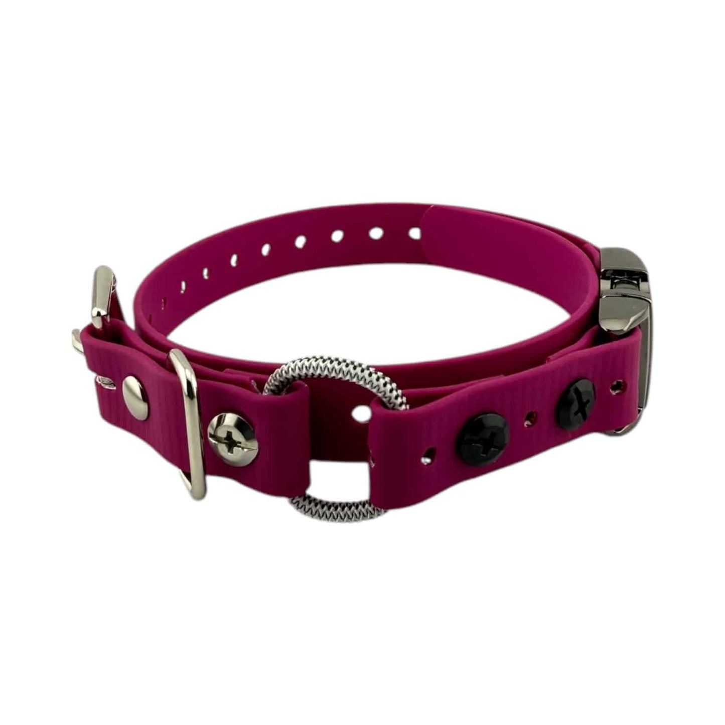 Micro Educator 3/4” Quick Snap Bungee Collar (Small Dog)
