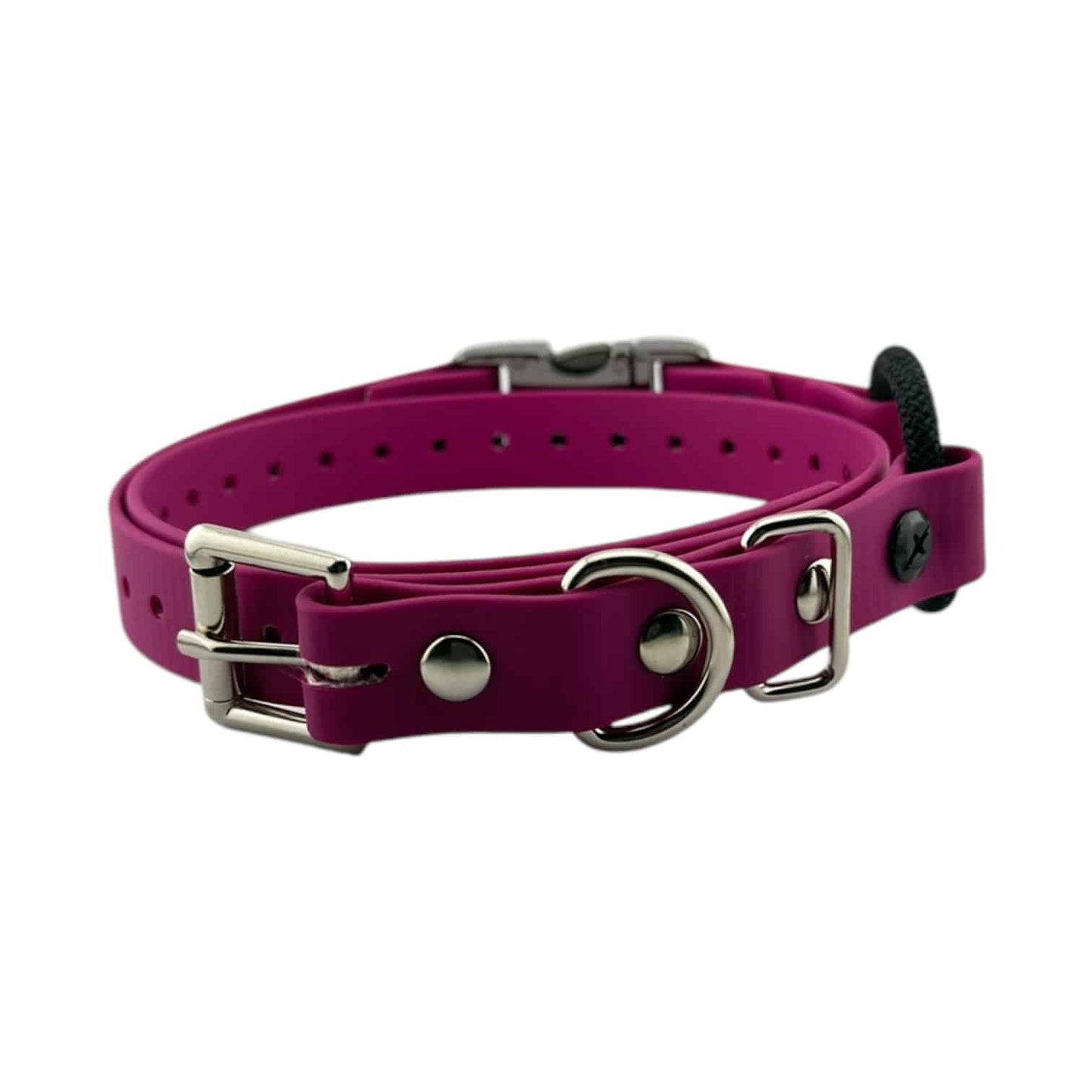 Mini Educator 3/4” Quick Snap Bungee Collar