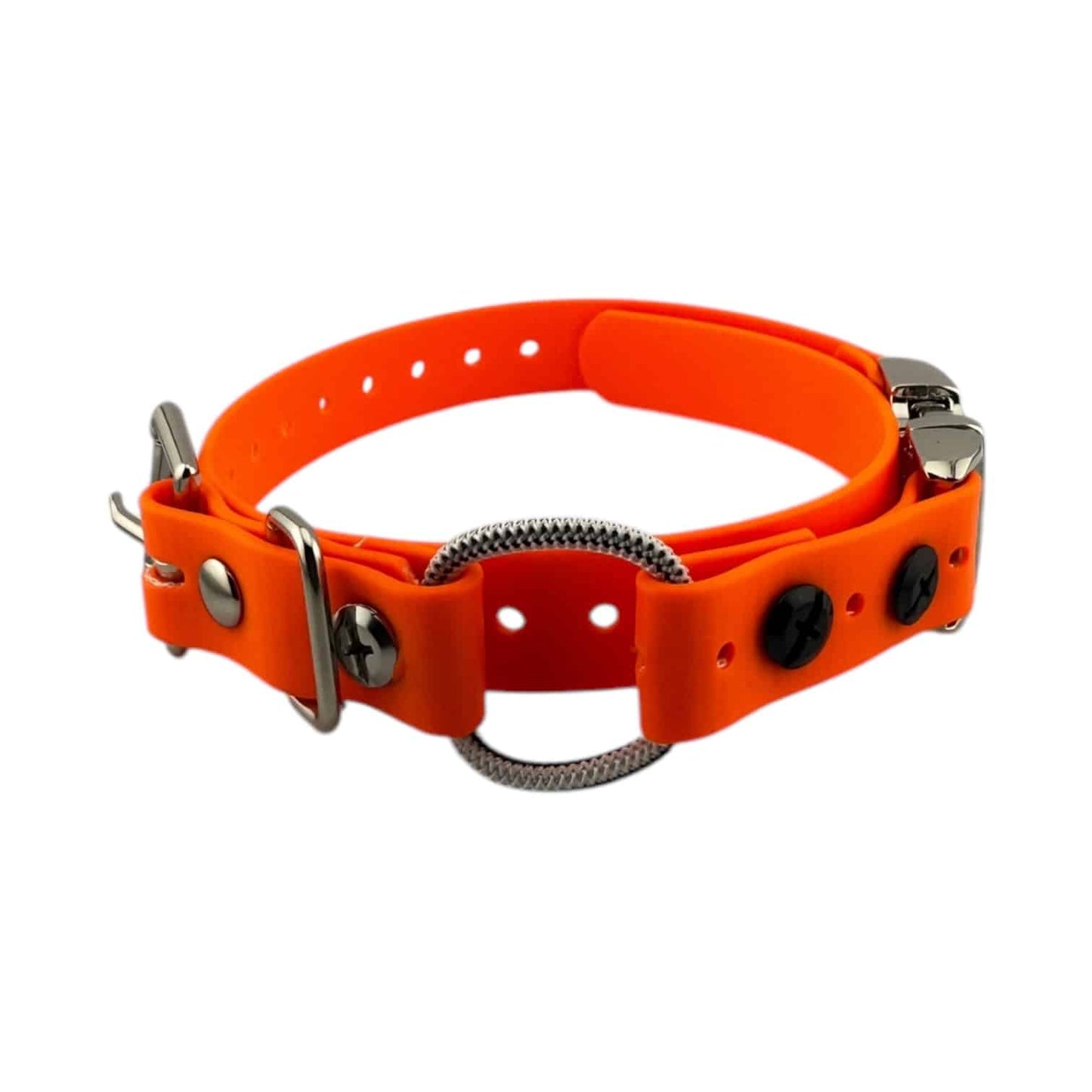 Micro Educator 3/4” Quick Snap Bungee Collar (Small Dog)