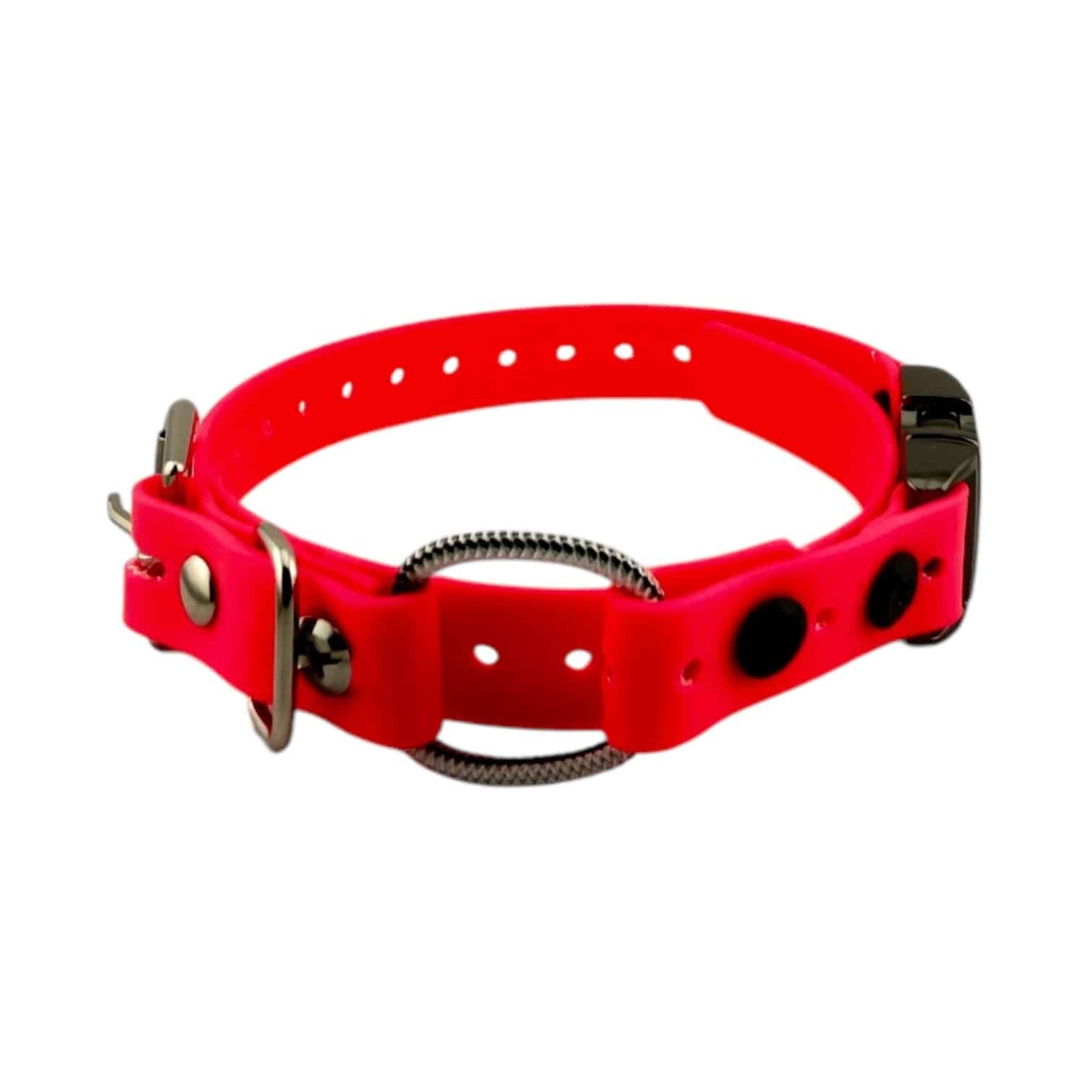 Micro Educator 3/4” Quick Snap Bungee Collar (Small Dog)