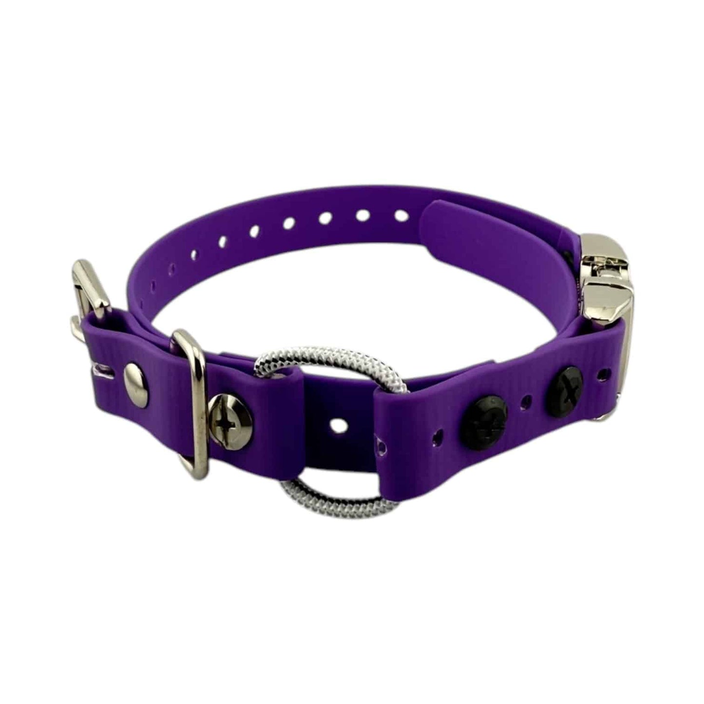 Micro Educator 3/4” Quick Snap Bungee Collar (Small Dog)