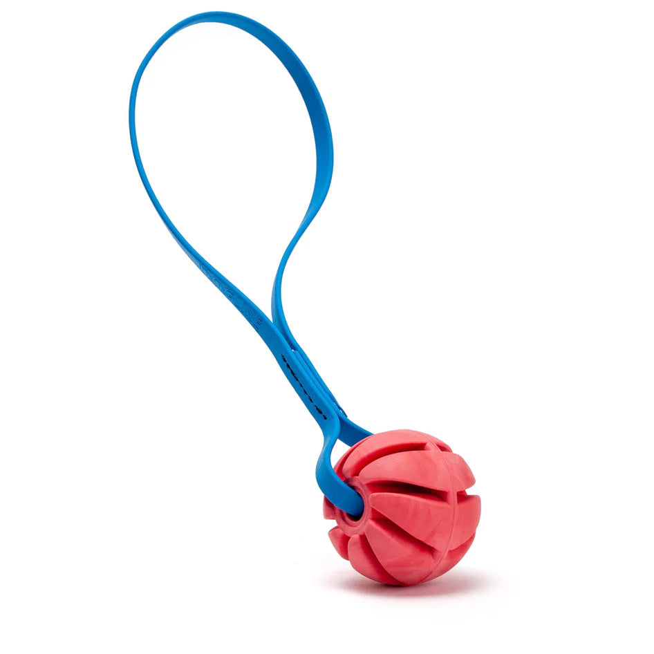 2" Dogline Spiral Ball With Handle