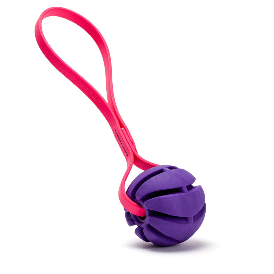 2.75" Spiral Reward Ball w/ BioThane Handle