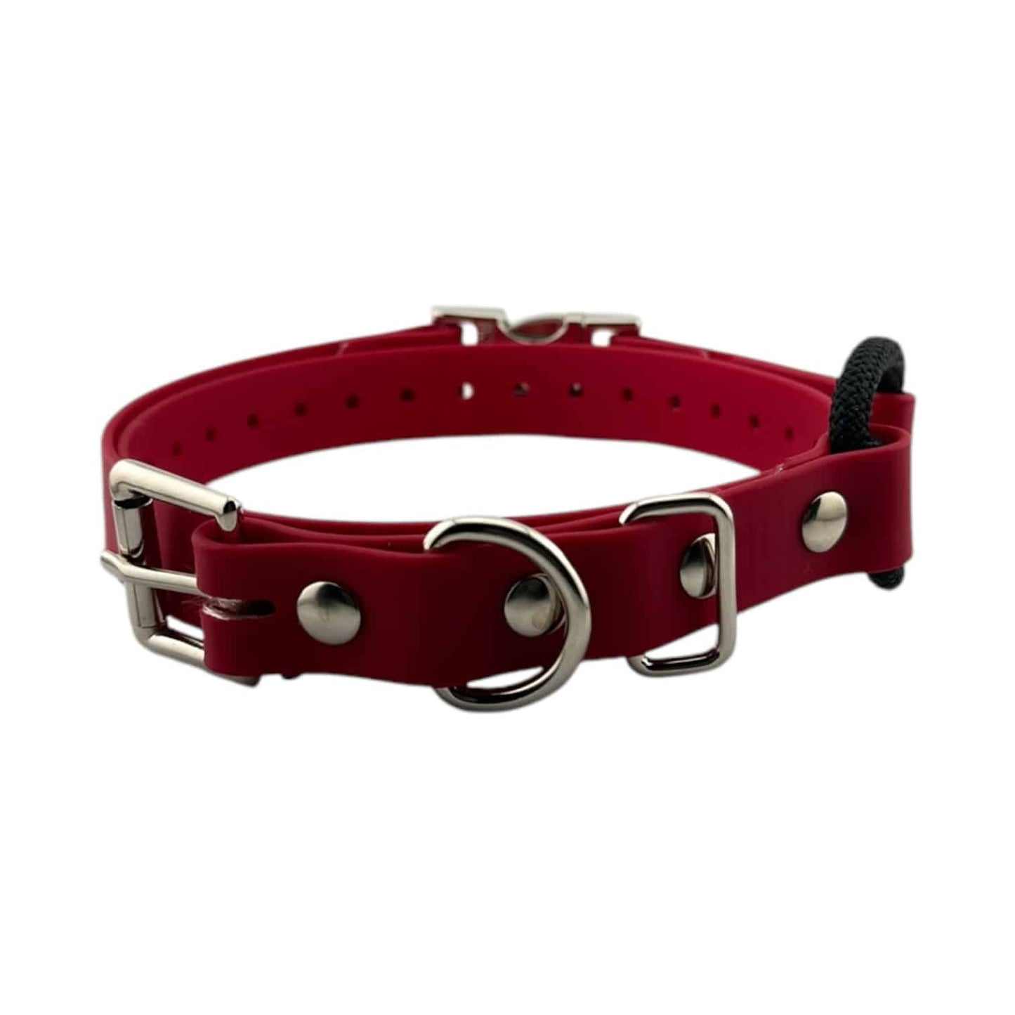 Mini Educator 3/4” Quick Snap Bungee Collar