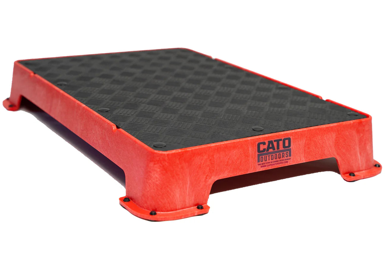 CATO Board Training Platform