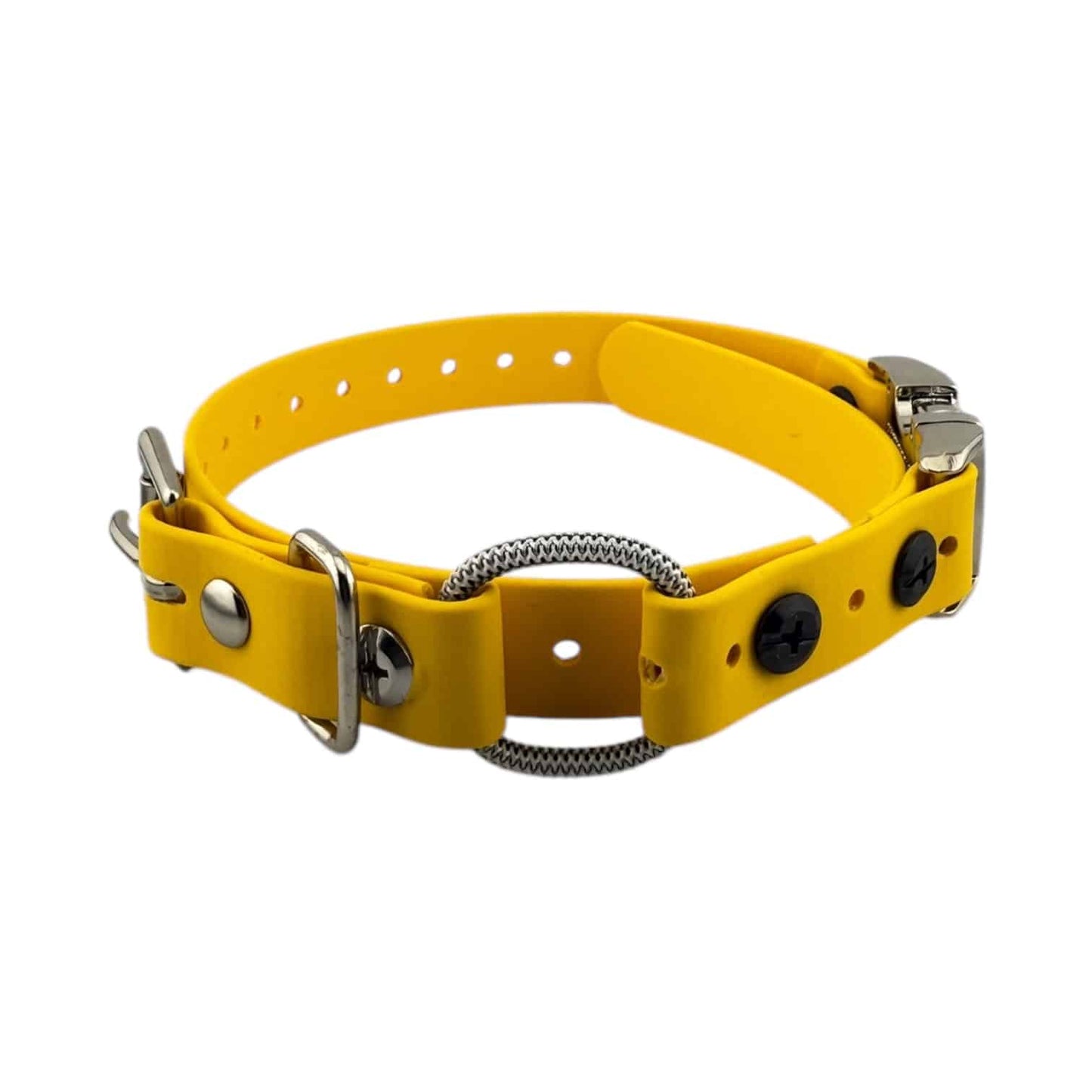 Micro Educator 3/4” Quick Snap Bungee Collar (Small Dog)