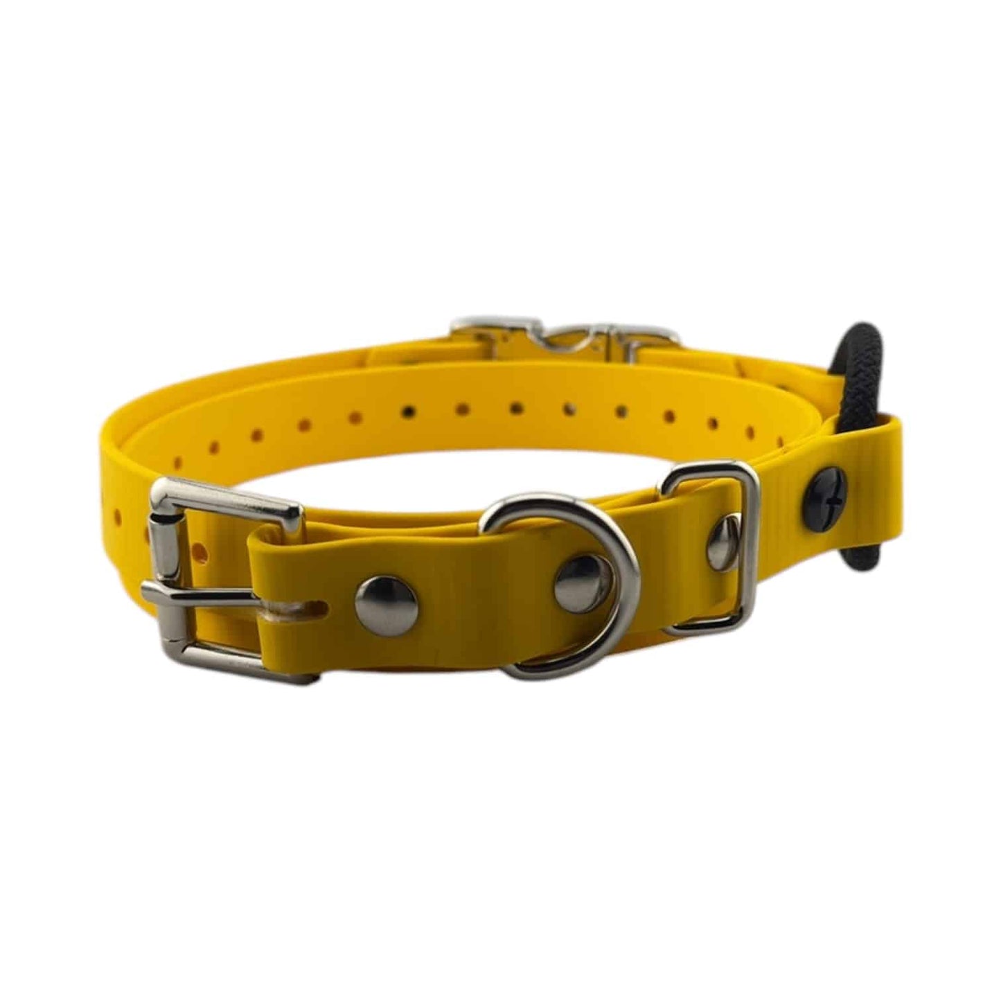 Mini Educator 3/4” Quick Snap Bungee Collar