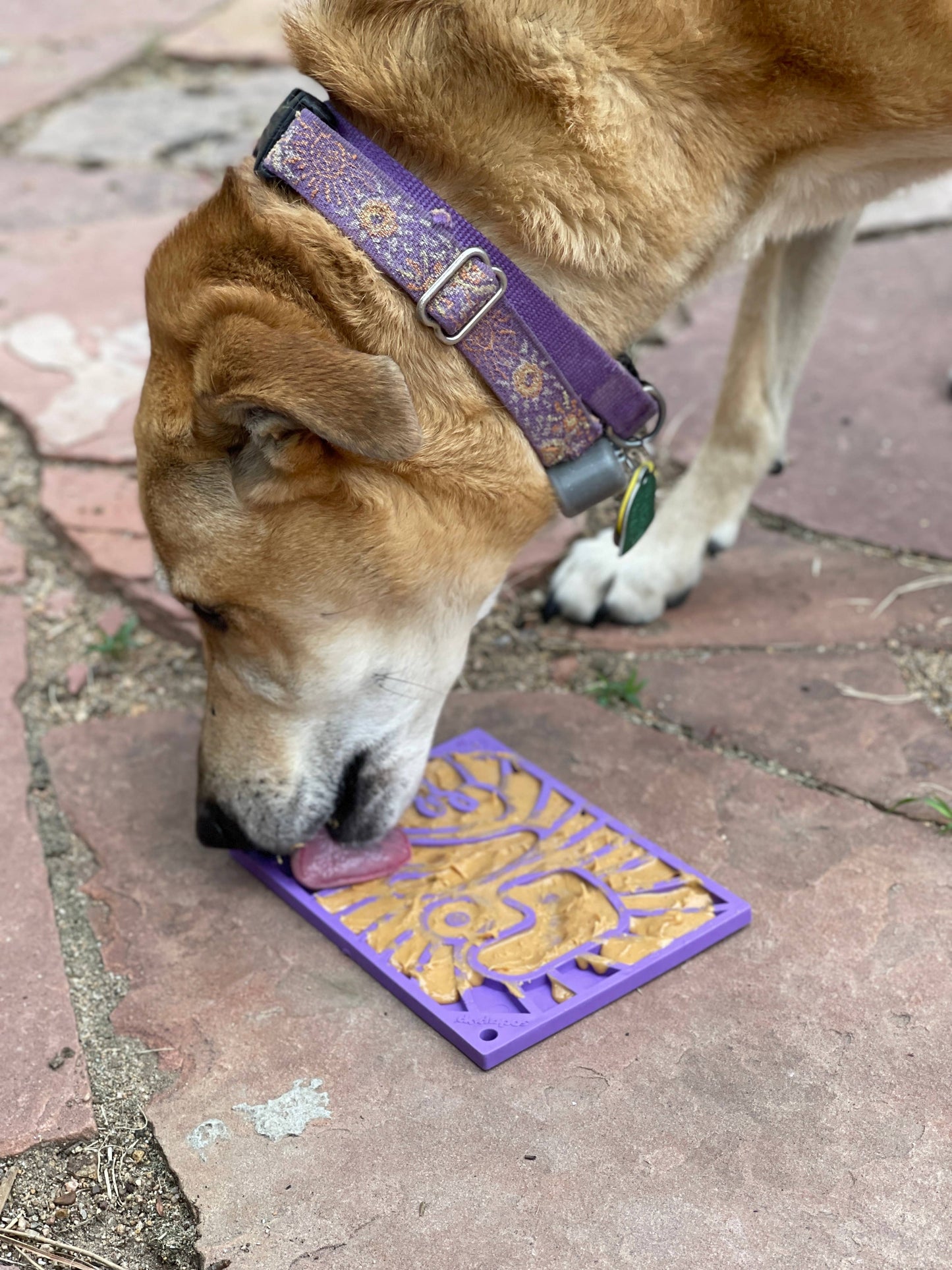 Groovy Love Design eMat Enrichment Lick Mat - small