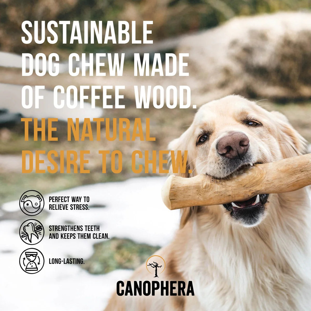 Canophera Wood Chew
