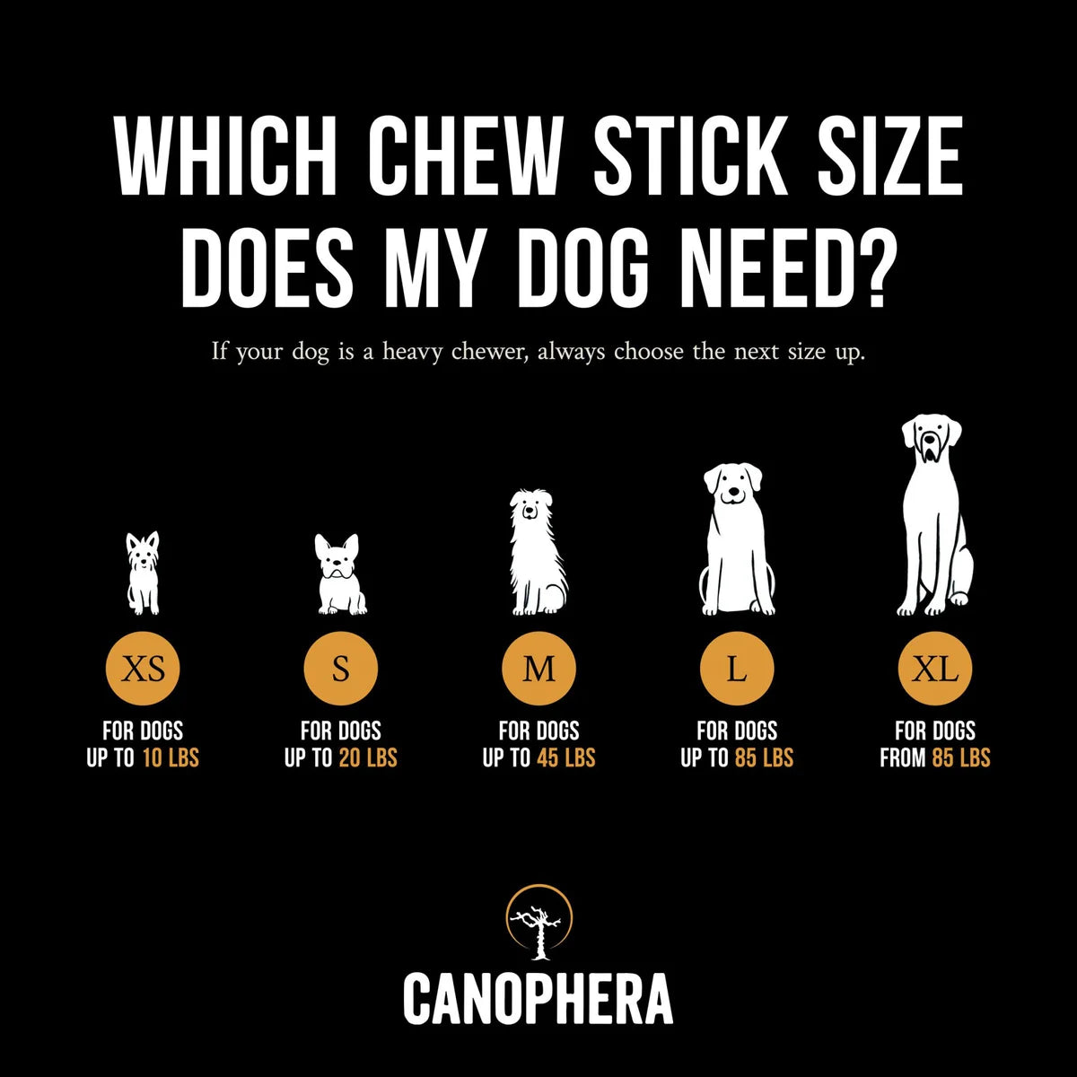 Canophera Wood Chew