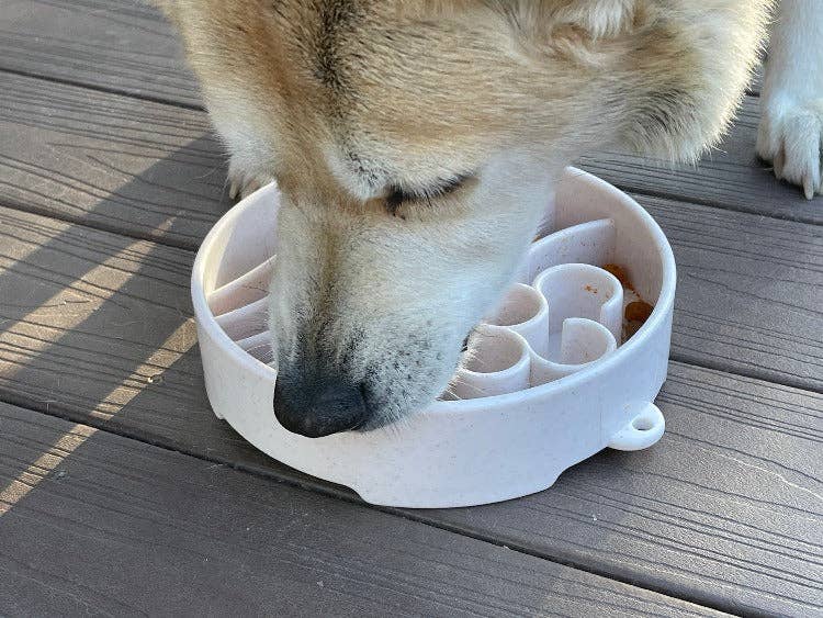 Java Design Slow Feeder Bowl
