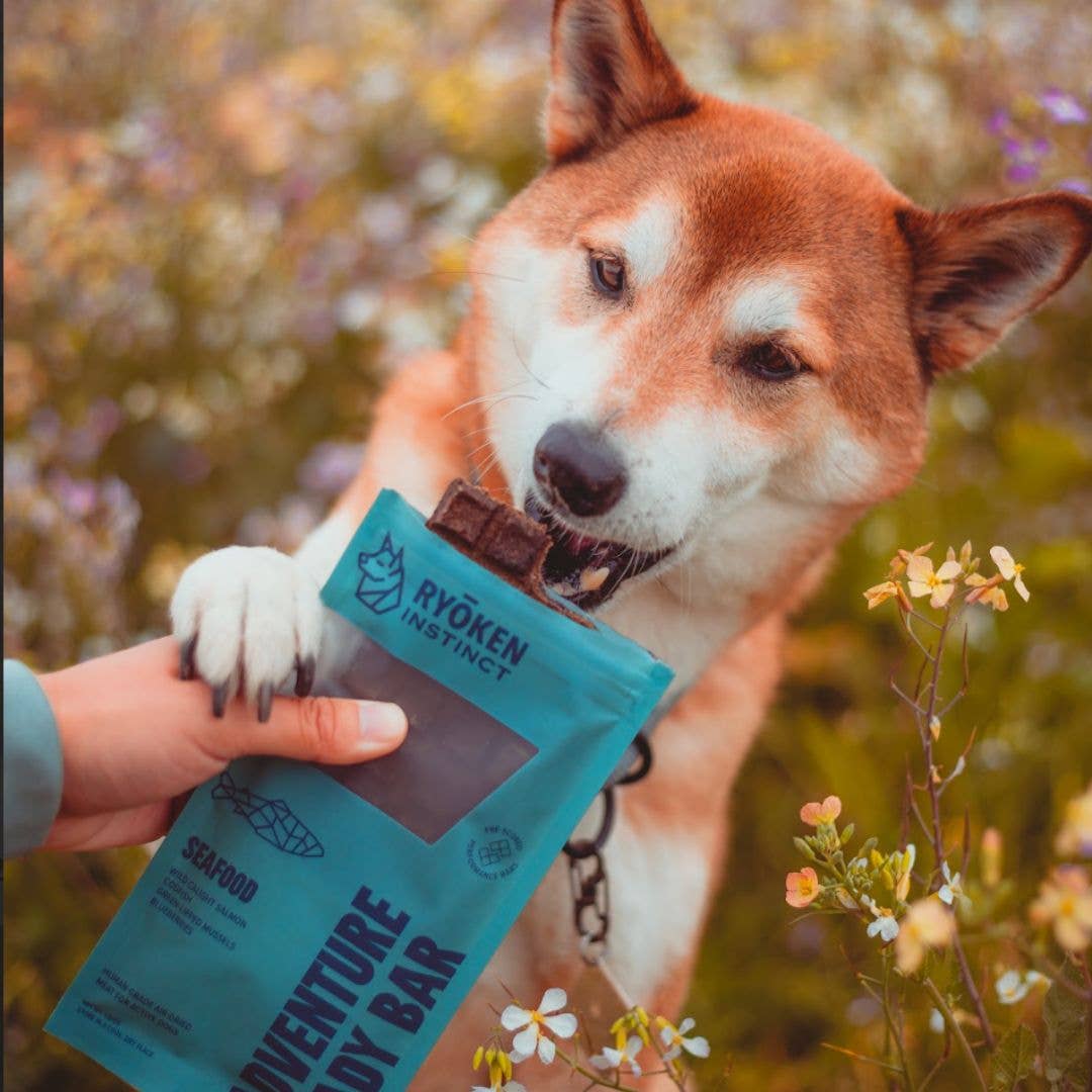 Seafood Treat & Snack Bar for Active Dogs - Energy & Recovery