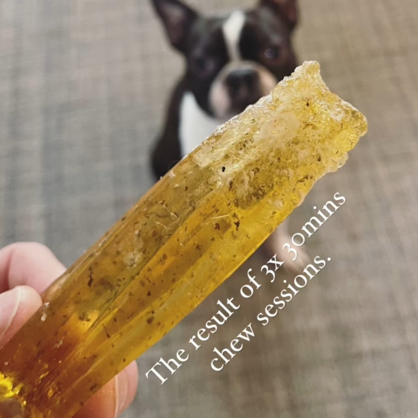 Mighty Marrows - Spirulina Beef