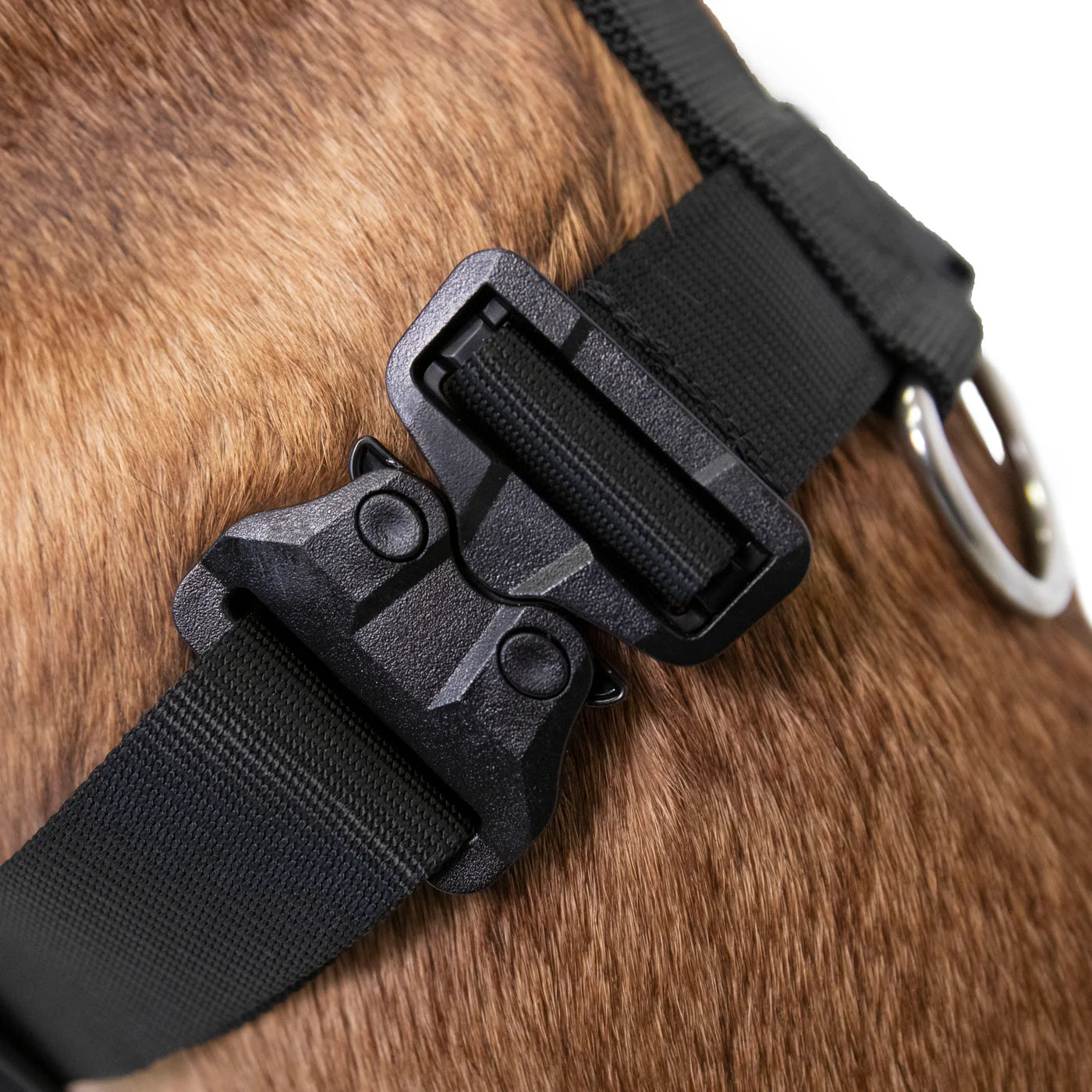 Ruff swag Adult Dog Harness