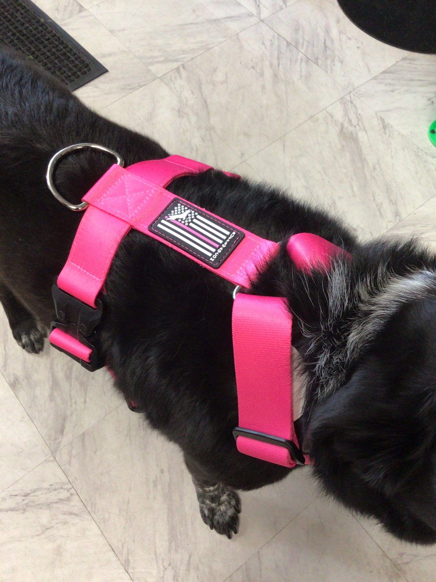 Ruff swag Adult Dog Harness