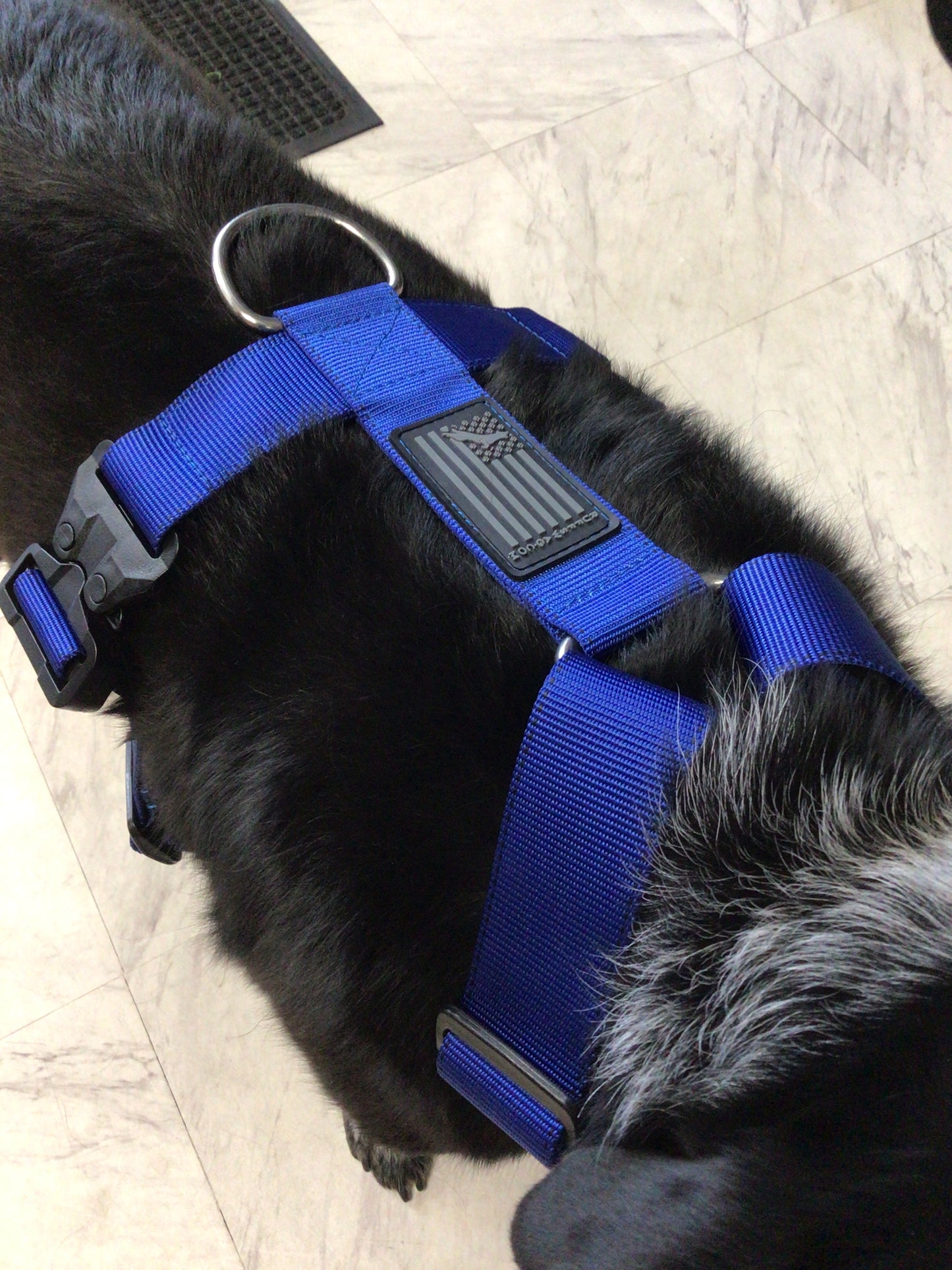 Ruff swag Adult Dog Harness
