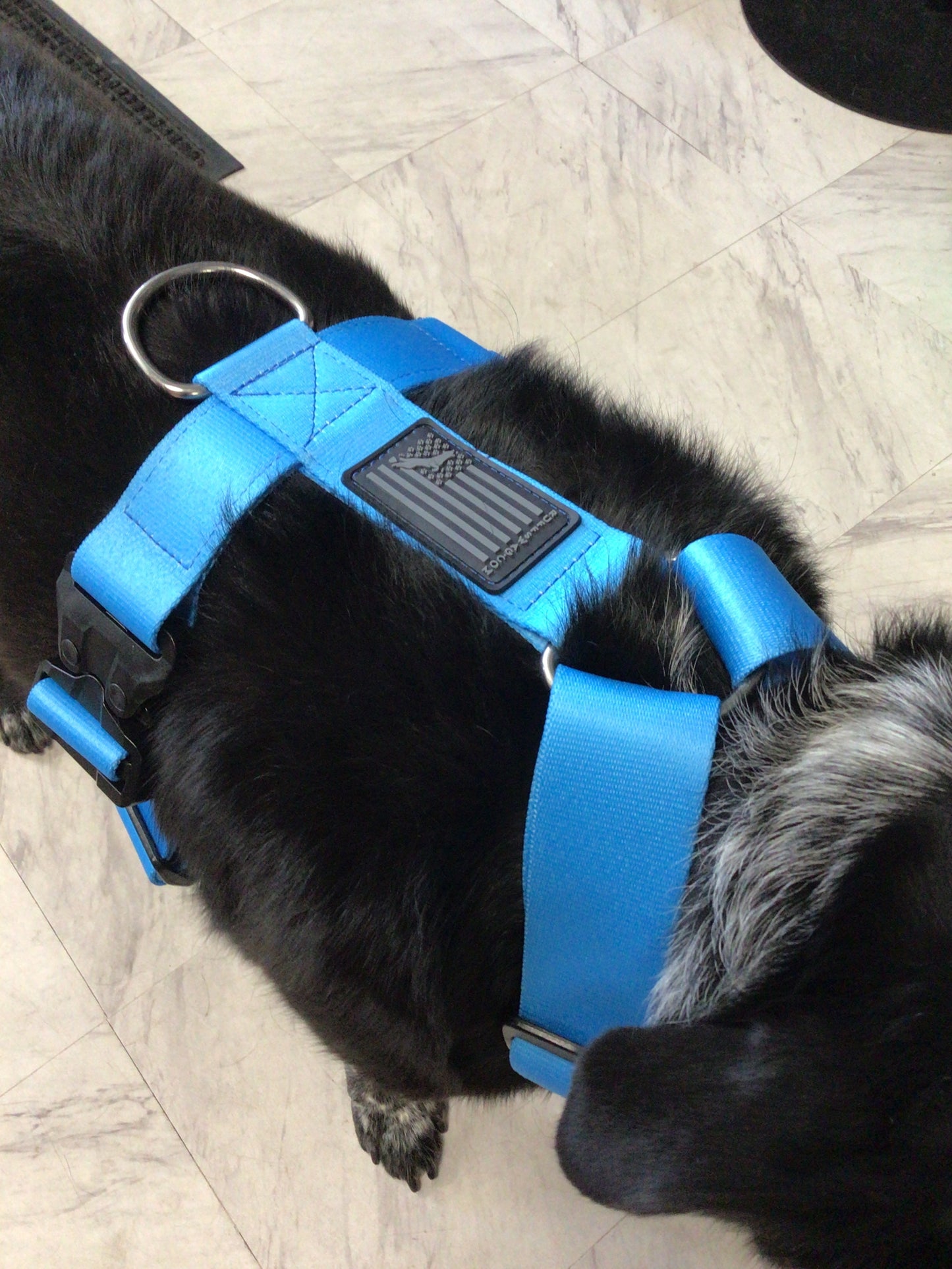 Ruff swag Adult Dog Harness
