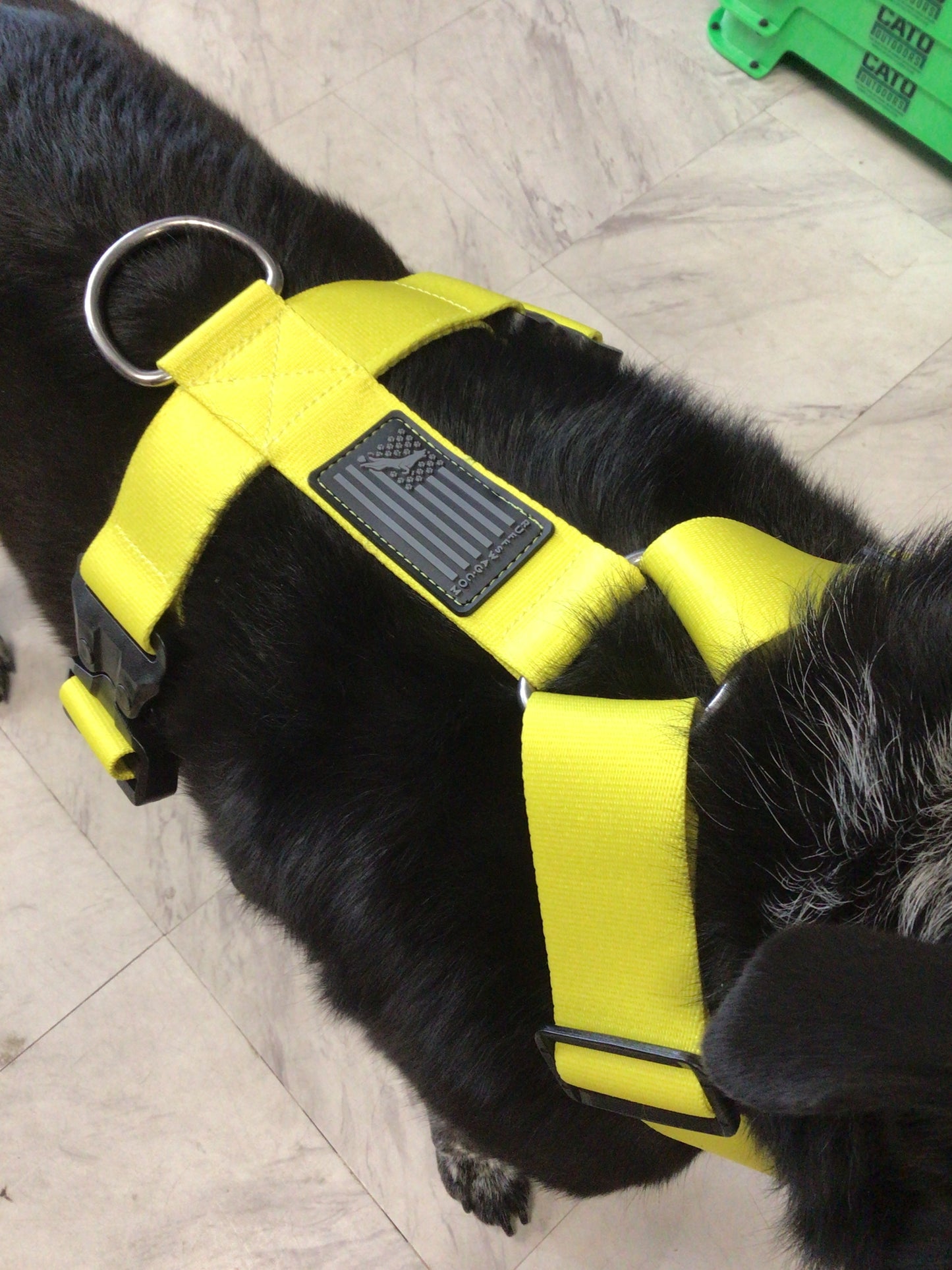 Ruff swag Adult Dog Harness