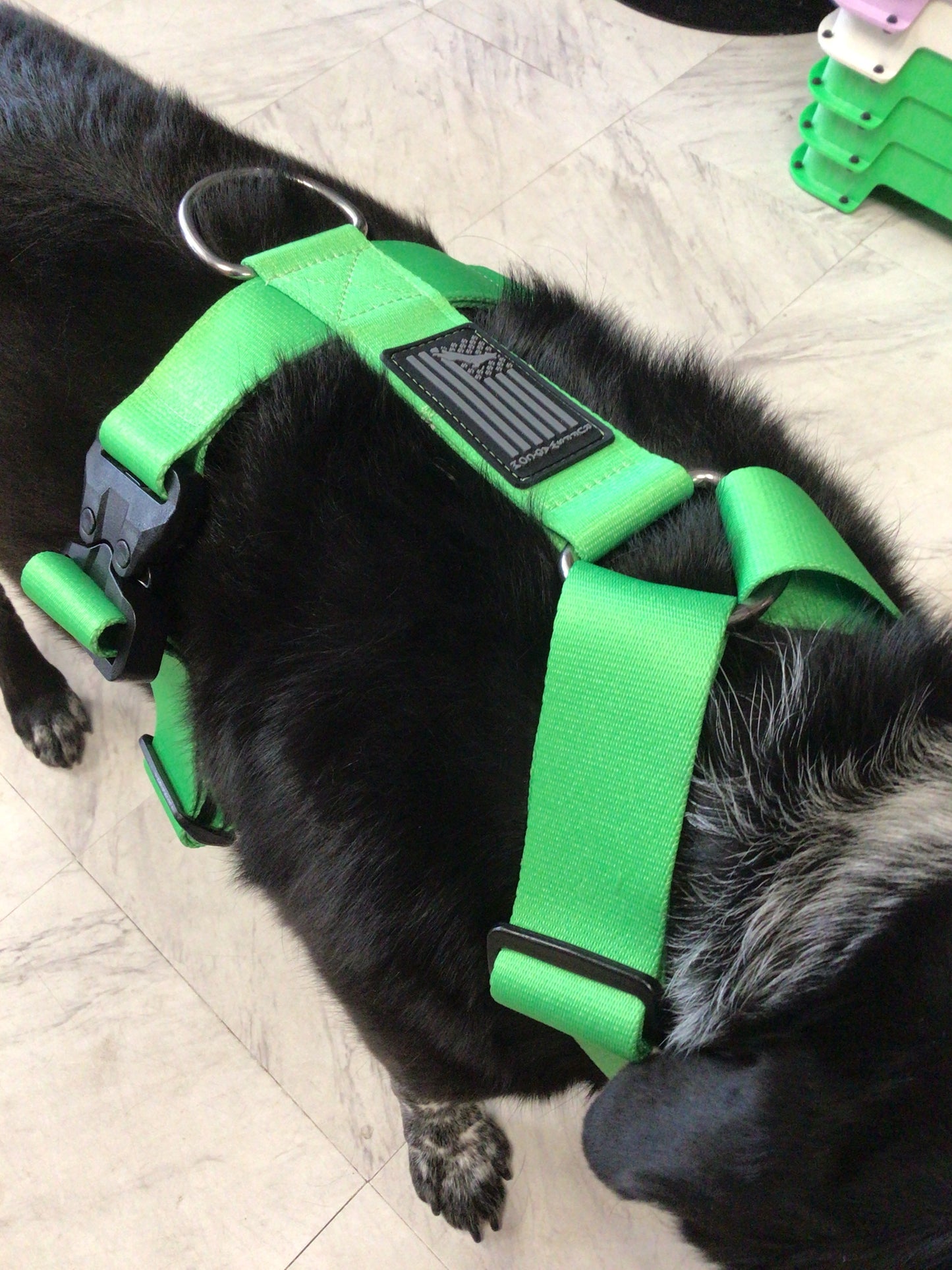 Ruff swag Adult Dog Harness