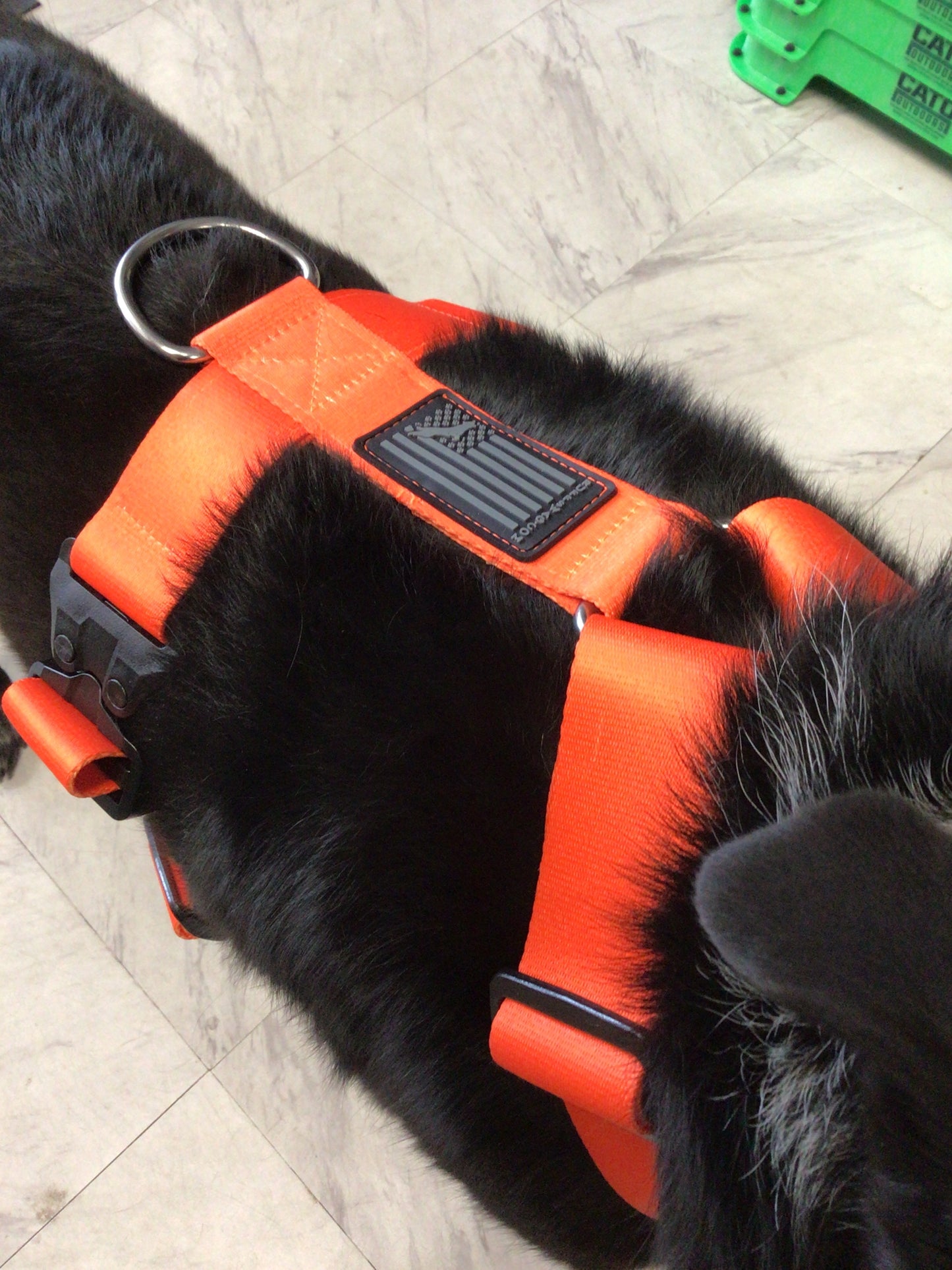 Ruff swag Adult Dog Harness