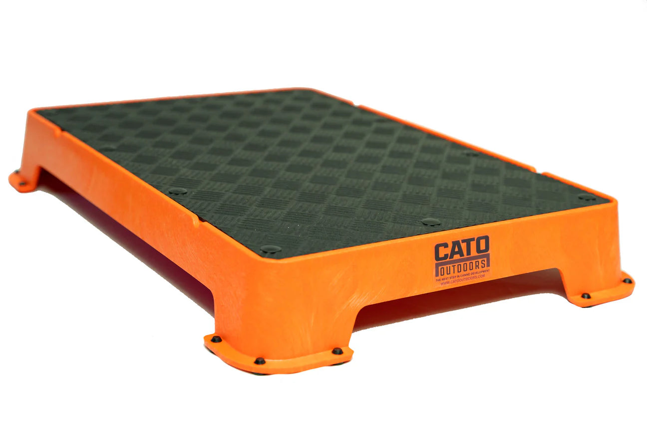 CATO Board Training Platform