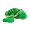 Tall Tails Baby Turtle