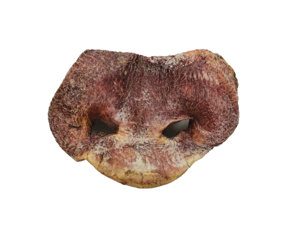Vital Essentials RAW BAR Pig Snouts