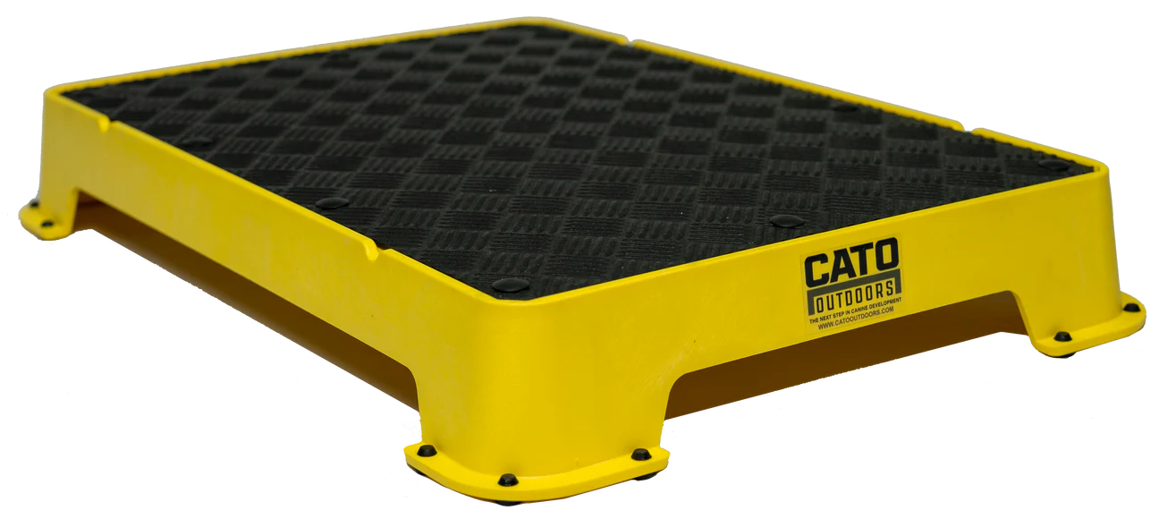 CATO Board Training Platform