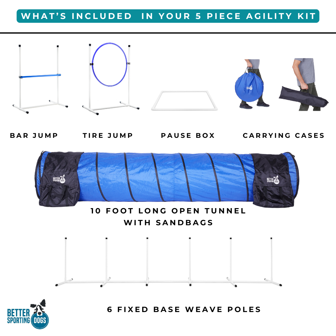 What's included in the 5 piece agility set