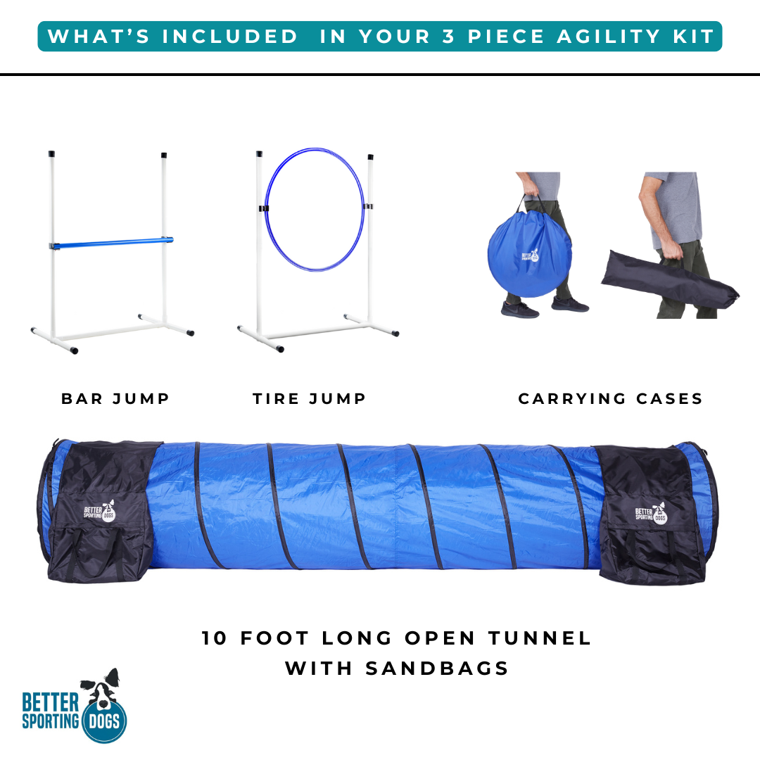 What's included in the 3 piece agility set