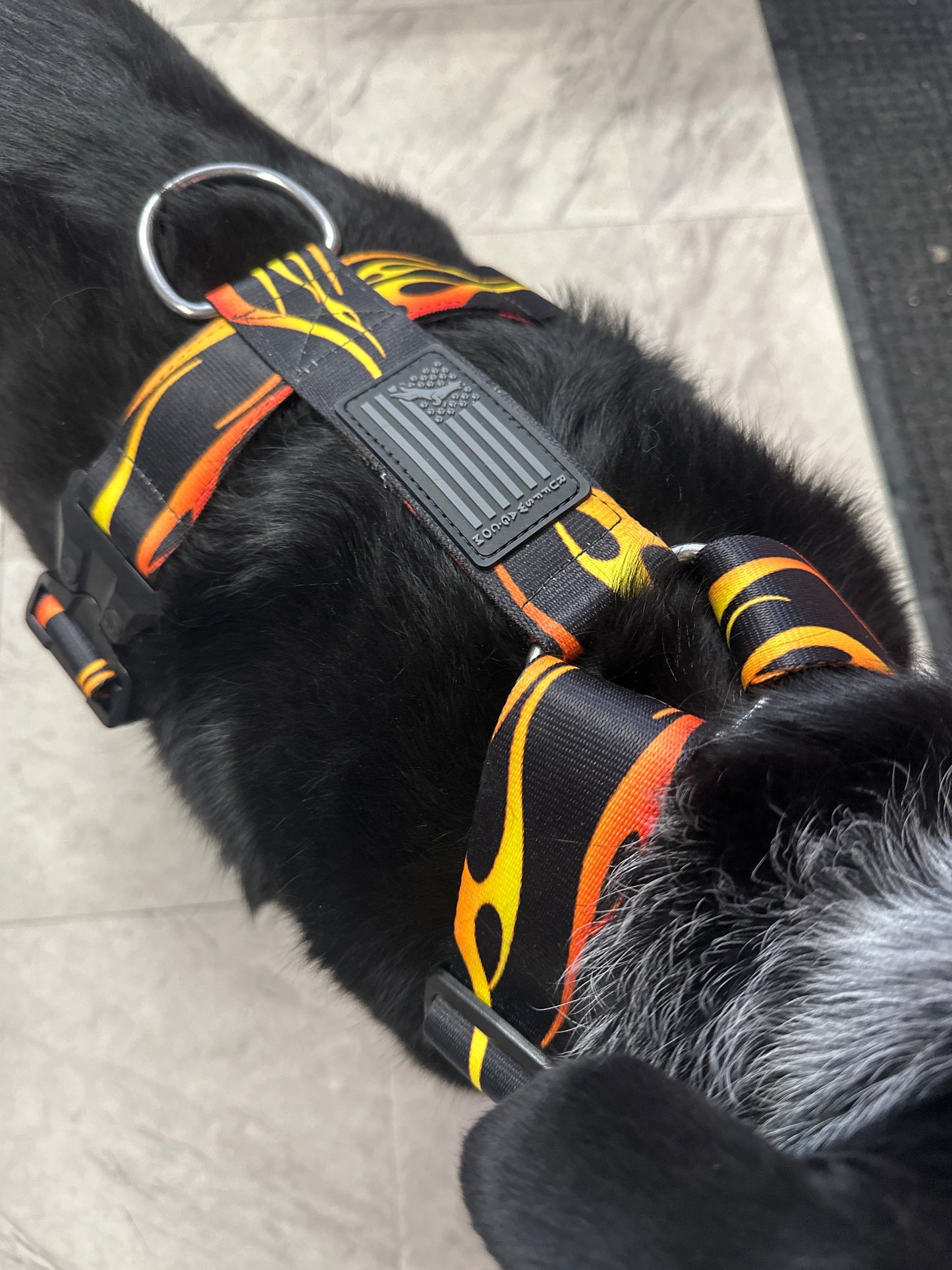Ruff Swag Adult Dog Harness