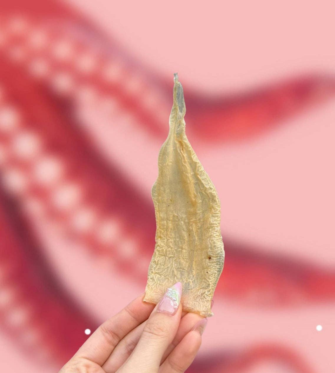 Squid Chews